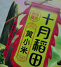十月稻田 黄小米 溯源  2.5kg（小黄米 五谷杂粮 粥米早餐小米粥）5斤 实拍图