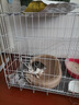 憨憨宠猫笼折叠猫笼子大号猫别墅加粗加密双层猫舍猫窝宠物猫咪用品家用 白色 850双层 实拍图