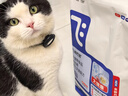 阿飞和巴弟猫粮E76大健康版本益生菌全价双拼猫粮成猫幼猫粮2kg*5袋共20斤 实拍图