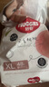 好奇（Huggies）铂金装纸尿裤XL96片(12-17kg)加大号婴儿尿不湿小桃裤裸感超薄透 实拍图
