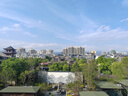 爱他美（Aptamil）白金澳洲版 婴儿配方奶粉 1段(0-6月) 900g 3罐箱装 实拍图