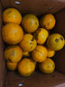 壹棵弘芯正宗高山脐橙橙子应季新果时令湖北新鲜水果手剥橙子生鲜整箱 9.0斤超值大果 果70mm+净重约8斤 实拍图