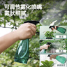 得力（deli）喷水壶喷雾器消毒 园艺浇花雾化细腻盆栽花卉厨房清洁水柱/雾状 实拍图