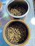 Orijen渴望猫粮 减肥期低卡 无谷成猫室内猫室内伴侣进口1.8kg效期26/2 实拍图