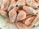 美加佳头籽熟冻北极甜虾净重3斤 90/120规格 头籽率95% 熟冻甜虾 实拍图