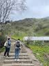 迪卡侬登山包徒步背包双肩背包书包旅行运动通勤大容量背负系统 NH100-卡其棕 30升 实拍图