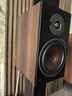 达尼（DALI） OBERON3博睿3号高保真2.0声道书架无源hifi音箱 家用桌面音响 胡桃木色 实拍图