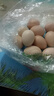 鲜鸡蛋草鸡蛋五谷喂养农家散养山林自养鸡蛋超市买菜 鲜鸡蛋10枚400g【泡沫防撞带箱】 实拍图