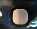 美的（Midea）【430升大容量】干衣机热泵烘干机家用衣物护理机烘鞋婴儿衣物内裤消毒脱水小烘衣机国家补贴12A1 实拍图