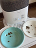 Orijen渴望猫粮 减肥期低卡 无谷成猫室内猫室内伴侣进口1.8kg效期26/2 实拍图