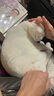 K9 Natural鸡肉50g生骨肉猫冻干猫零食成猫幼猫通用猫冻干 新西兰原装进口 实拍图
