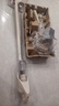 海尔（Haier）无线吸拖一体吸尘器家用轻量宠物便携式除尘机大功率大吸力干吸湿拖多用HZG-Q49W国家补贴 实拍图