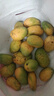 广西芒果鲜现摘产地直发微花皮半黄发货 2斤小果【带箱】40-69g 实拍图