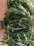 绿食者 新鲜球生菜500g 汉堡用西生菜西餐三明治沙拉蔬菜健康轻食食材 实拍图