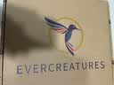 Evercreatures英国雨鞋女雨靴成人防滑防水鞋橡胶水靴蓝色切尔西雨鞋短筒 女款 蓝色低帮12BLU 37(UK4) 实拍图