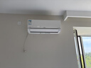 日立（HITACHI）白熊君DE 1.5匹新1级能效14-24㎡制冷面积变频冷暖空调挂机国家补贴原装压缩机RAK/C-DE12PHCPC 实拍图