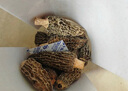 十月稻田 羊肚菌 30g（5-7cm）山珍菌菇干货 鸡汤煲汤火锅食材 实拍图
