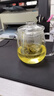忆壶茶（YIHUTEA） 茶壶玻璃泡茶壶玻璃茶具 茶水分离煮茶壶玻璃水壶保温加热煮茶器 【一壶2杯】650ML泡茶壶 实拍图