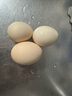 京喜加农家新鲜散养鸡蛋单枚40g正负5g谷饲蛋初生蛋溏心蛋早餐生鲜买菜 40枚 实拍图