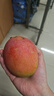 京鲜生 海南贵妃芒 巨无霸果 净重4.5斤装250g+ 生鲜水果 源头直发 实拍图