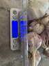 【百万单爆品】紫白皮蒜水果大蒜超市生鲜蔬菜调料即食蒜 大蒜 500g 单果3.5-5cm 实拍图