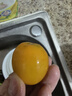 京地达山东阳光小番茄黄色柿子净重4.5斤 新鲜现摘水果自然成熟源头直发 实拍图
