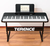 特伦斯（Terence）智能电子琴成人儿童初学者61键TS03电钢琴入门钢琴键盘 典雅黑 实拍图