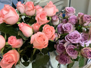 云南鲜花批发品质玫瑰百合水养鲜切花送女友生日礼物源头直发 紫玫瑰-20支（花苞小不定品种） 【任选2件—不收运費】 实拍图
