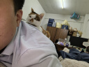 力狼猫罐头补水汤罐猫咪汤包幼猫成猫零食宠物食品猫湿粮 【1罐尝鲜】鸡肉味补水汤罐85g 实拍图