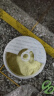 美可卓（Maxigenes）澳洲蓝胖子全脂成人奶粉1kg/罐0蔗糖高钙高蛋白儿童学生中老年 实拍图