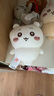 名创优品（MINISO）chiikawa小号站姿公仔正版玩偶毛绒玩具生日礼物女 Chiikawa吉伊 实拍图
