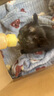 宠灵本草猫癣用猫皮肤猫藓猫癣宠物皮肤狗藓宠癣净喷剂 宠癣净 喷剂 实拍图