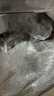 京鲜生 广东茂名妃子笑荔枝 净重5斤 单果18g+ 新鲜水果 源头直发包邮 实拍图