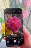 Apple/苹果 iPhone 16 Pro Max（A3297）256GB 黑色钛金属 支持移动联通电信5G 双卡双待手机 实拍图