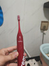 皓卫适配APIYOO艾优SUP电动牙刷头替换通用A7/P7/Y8/S皮卡丘红色 4支 红色刷头【独立真空包装】 实拍图