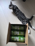 鹅岛（Goose Island）IPA精酿啤酒经典淡色艾尔500ml*12听整箱装百威集团  实拍图
