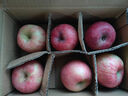 自然搭档 陕西洛川苹果红富士 脆甜苹果生鲜水果礼盒 6枚特小果（单果150-170g） 实拍图