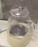 World Kitchen康宁全玻璃养生壶恒温壶烧水壶热水壶家用多功能办公室煮茶器煮茶壶电热水壶1.6L(茶漏+炖盅款） 实拍图