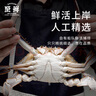 至鲜 梭子蟹2.6斤/6-8只整只当季液氮冷冻梭子蟹3-5两/只吕四黄海海鲜螃蟹新鲜 实拍图