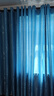 现代简约遮光窗帘加厚卧室窗帘客厅阳台隔断帘窗帘（不带杆） 发财树-天蓝色 宽2.5米*2.2米高一片【打孔款】 实拍图