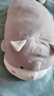 名创优品（MINISO）趴姿系列-大号趣味狗狗毛绒公仔玩具玩偶抱枕生日礼物女 灰色 实拍图