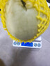 果当爱山东头茬玉菇甜瓜冰淇淋香甜瓜当季软糯香甜山东水果绿肉当季现货 5斤【商超品质超大果净重4.5斤】 实拍图