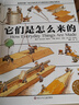 它们是怎么来的 精装大开本少儿科普百科全书 [7-10岁] 图书开学季 图书开工开学季 送礼好物 小学生推荐书单 实拍图