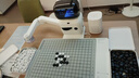 元萝卜SenseRobot围棋 X 野狐 AI下棋机器人围棋专业版 对弈 习题 陪练 涨棋 AI讲题 人机互动 【野狐联名版】 实拍图