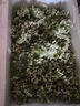 教蔬鲜生【顺丰直达】韭菜花新鲜现摘山东头茬嫩半仔韭花酱蘸料花朵苞 500g 实拍图