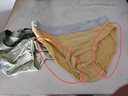 蕉内301P男士三角内裤莫代尔棉裆7A抗菌透气短裤头裤衩冰丝夏季3件装 实拍图