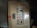 瓦伦丁拉格啤酒500ml*24听整箱罐装黄啤 德国原装进口淡色啤酒送礼露营 500mL 24罐 整箱装 实拍图
