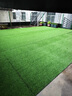 清雅草坪仿真草皮假草围挡户外装饰幼儿园儿童游乐场假草坪人造假草坪 20mm加密优质隔热款 实拍图