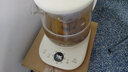 小熊（Bear）养生壶 1.5L煮茶壶煮茶器 玻璃花茶壶 316不锈钢恒温水壶烧水壶电热水壶 YSH-E15M1 实拍图