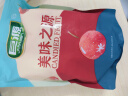 巨源红杏干200g 去核大果肉杏干 承德特产蜜饯果干休闲零食年货 实拍图